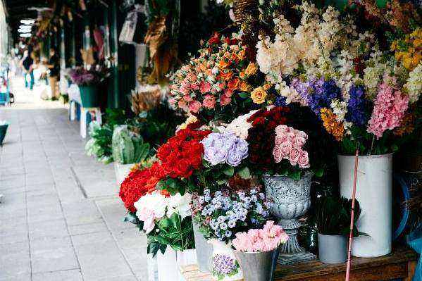Seizoensbloemen
